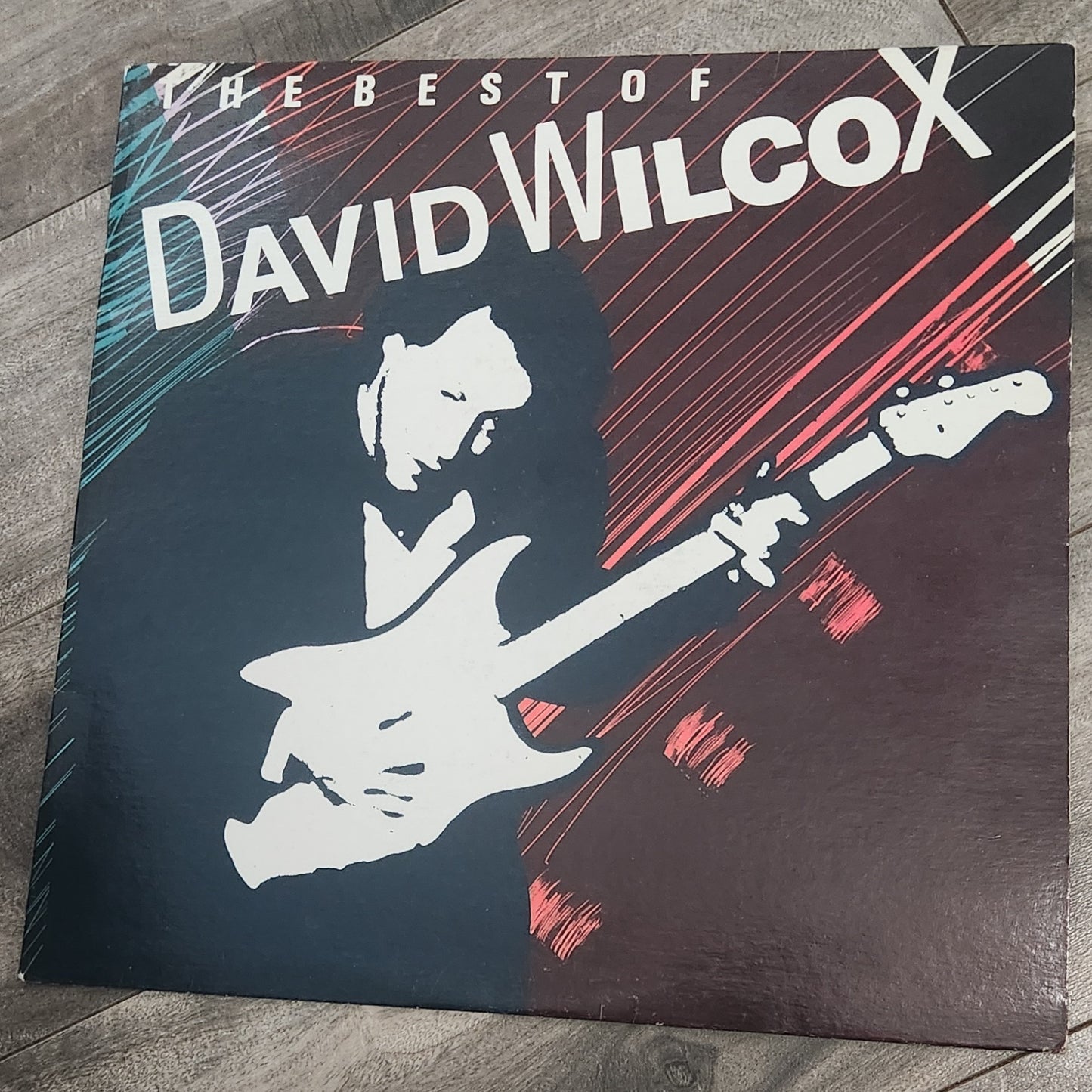 David Wilcox - The Best of David Wilcox