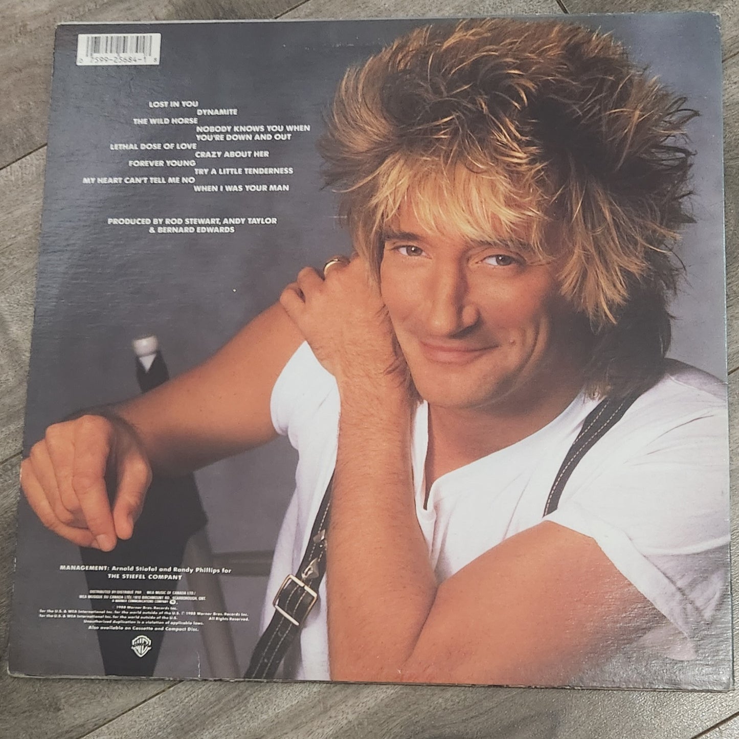 Rod Stewart - Out of Order